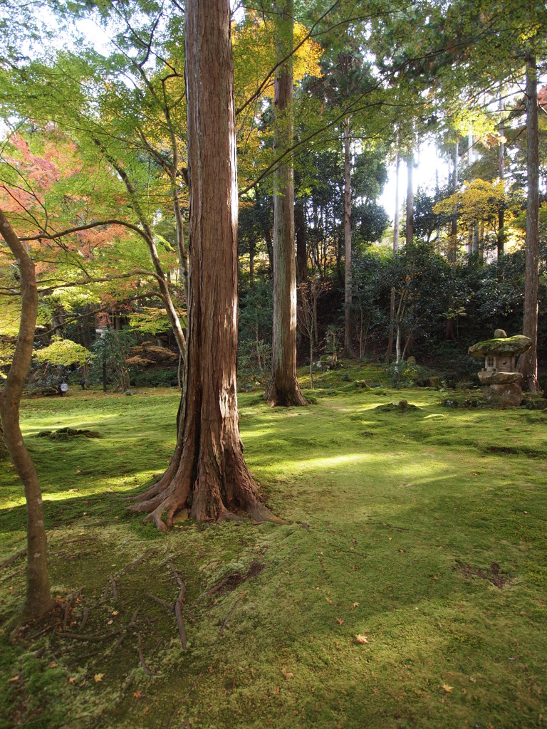 京都補完計画 其ノ肆拾