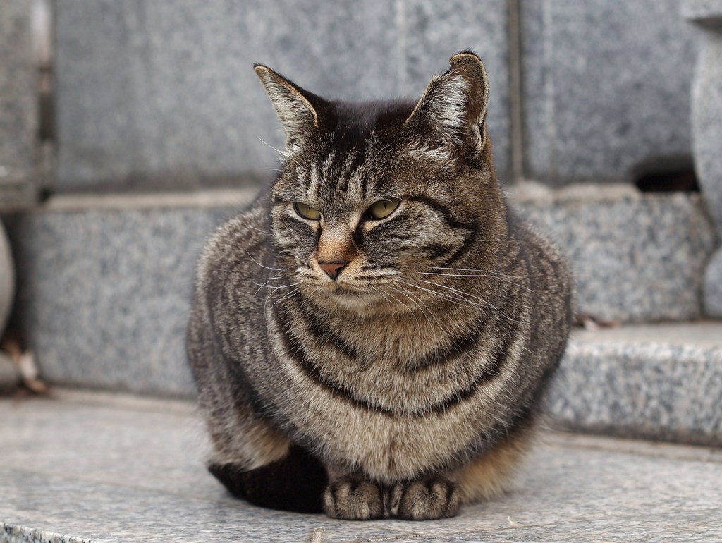 ご機嫌･･･ななめ？