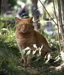 はいポーズ：緊張の一瞬