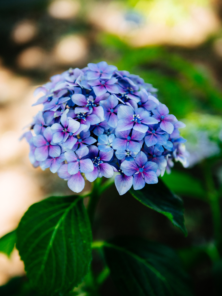 想い出なんか嫌いだ