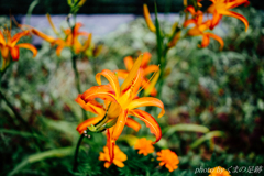 拝啓、背景さま