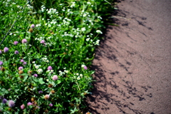 7月1日