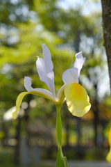 ぷろじぇくとＸ!!