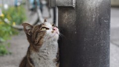 また降るのかな？