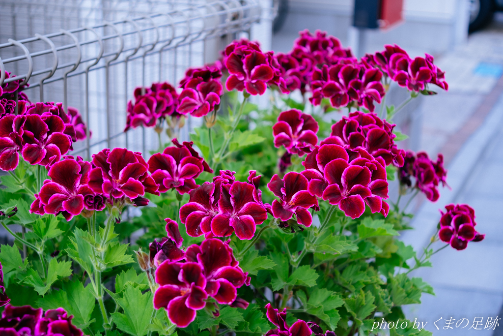 違いがわかるの