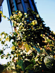 冬の色をたのしむ　⑭