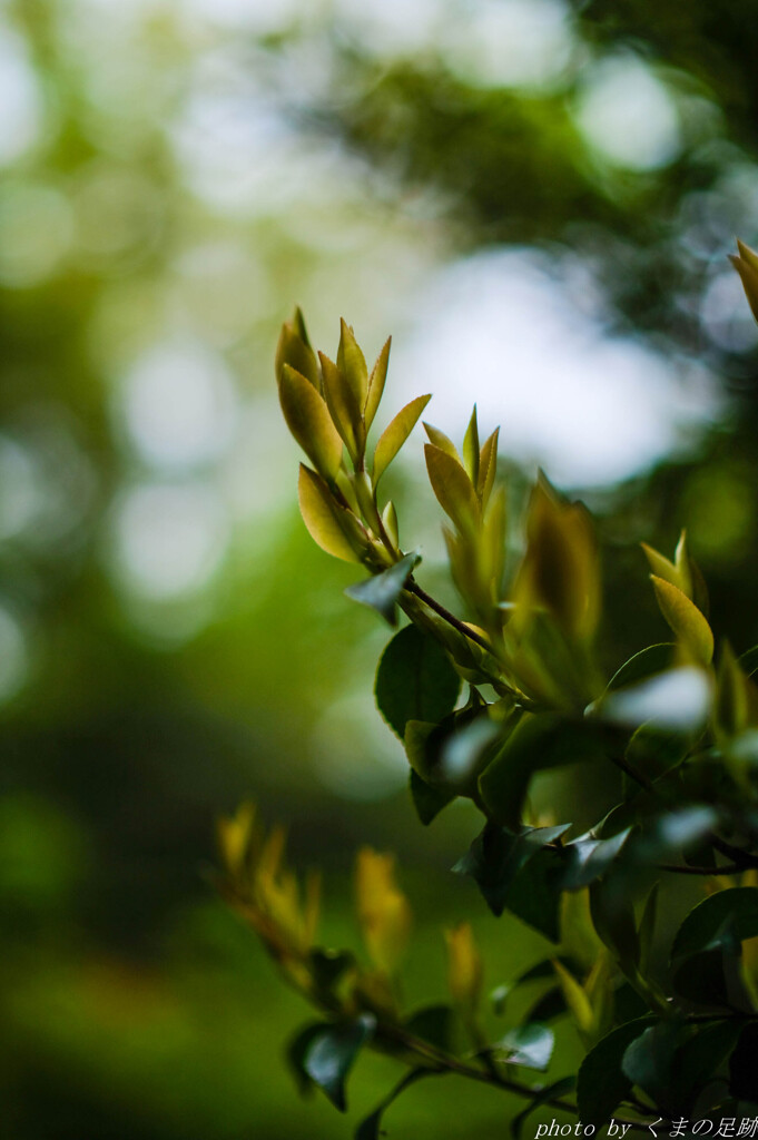 そこに希望があるのなら