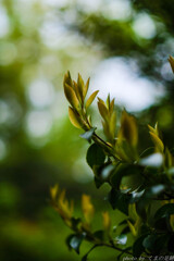 そこに希望があるのなら