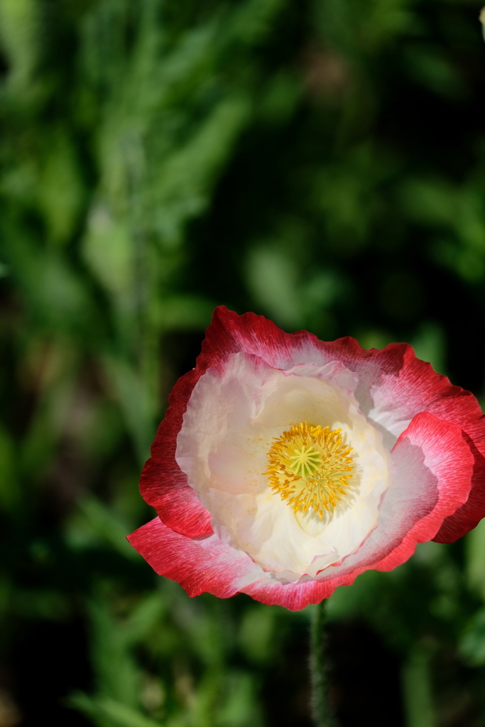 今日もいい天気♪♪