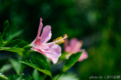 こうべをもたげろ