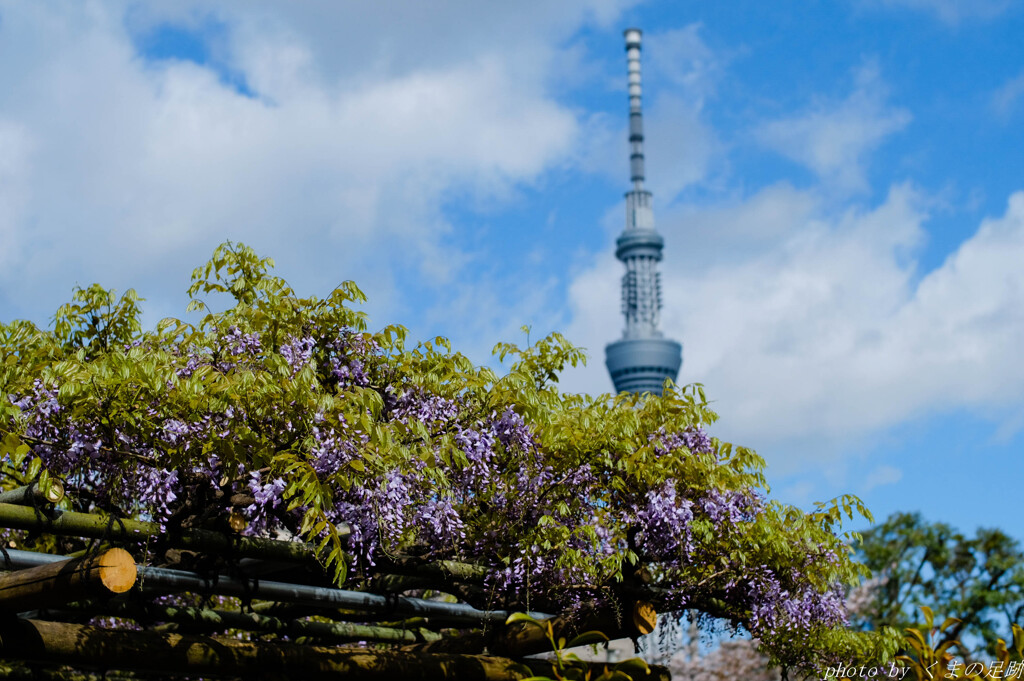 4月8日 天神通信