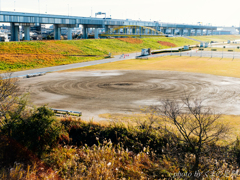 ミステリーサークル