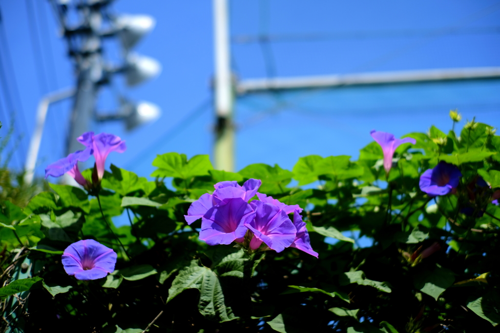 hotter than yesterday.