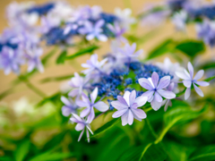 ゆるやかな時間