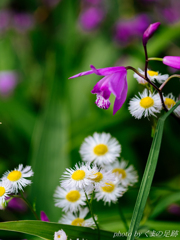 忘れてはいけないこと