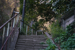 One of the images of Kamakura