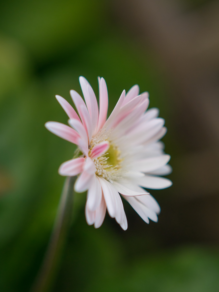 はるきたんかなぁ