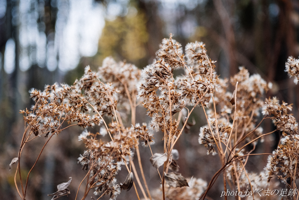 海を越え、年を越え