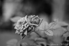 晴れない気持ち