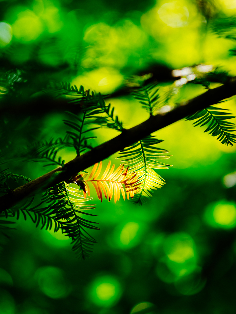 心配はいらないよ