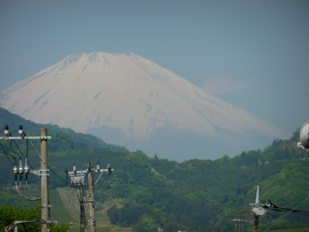 新緑と富士
