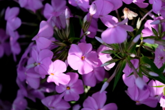 陽のあたる場所へ