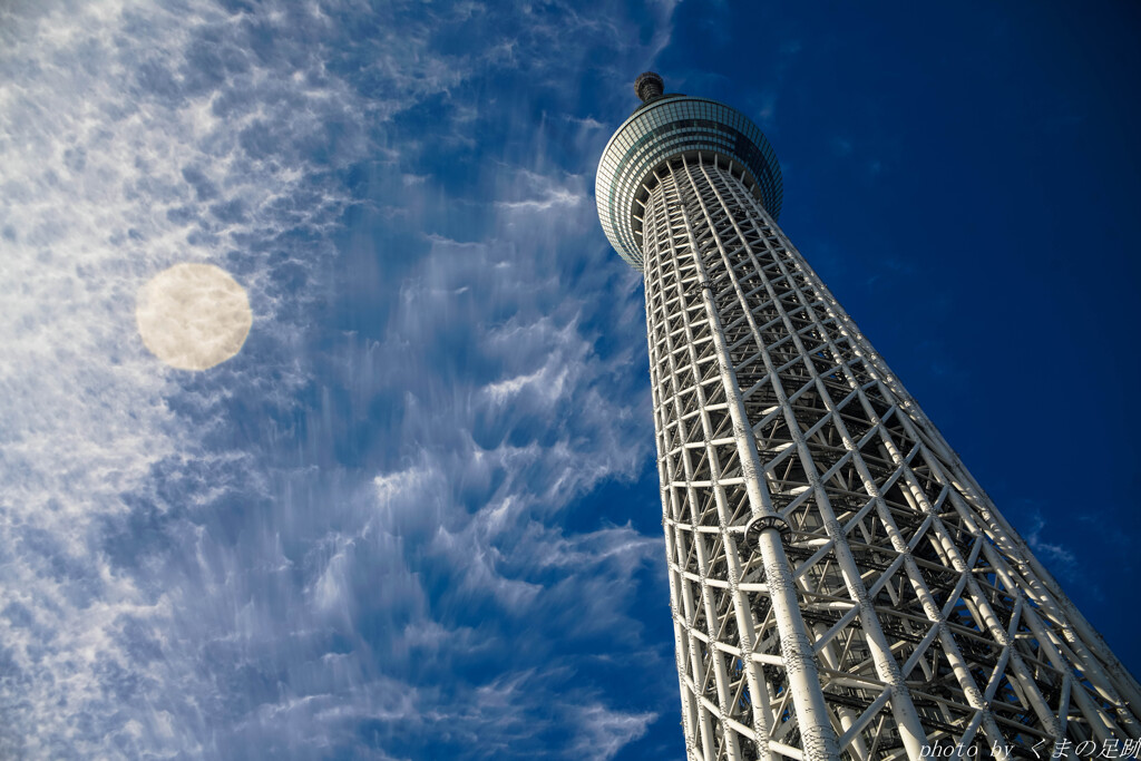 1月のカレンダーに