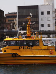PILOT