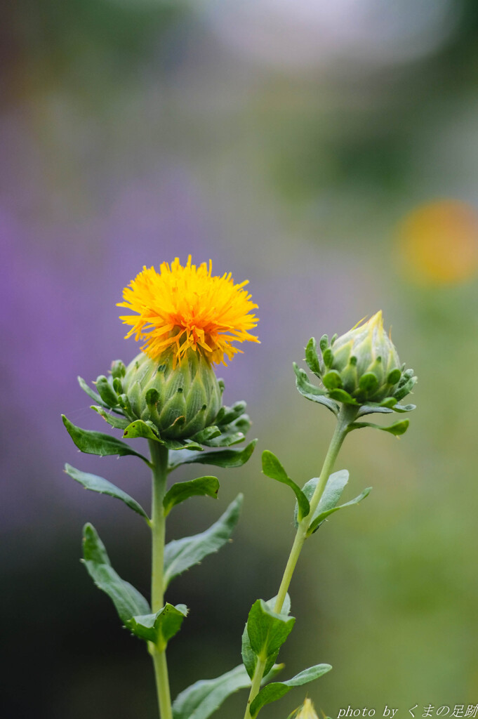 最近流行のヘアスタイル