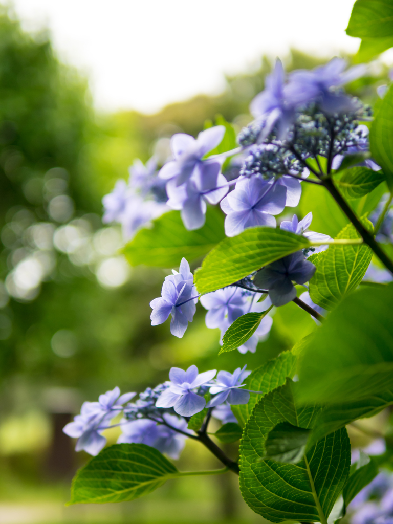 そこはかとなき不安と期待