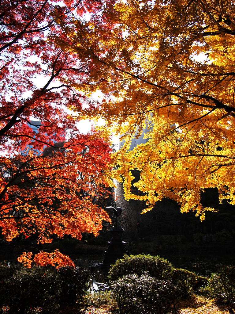 紅黄合戦