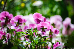 待ってはくれない