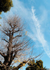 今日の空