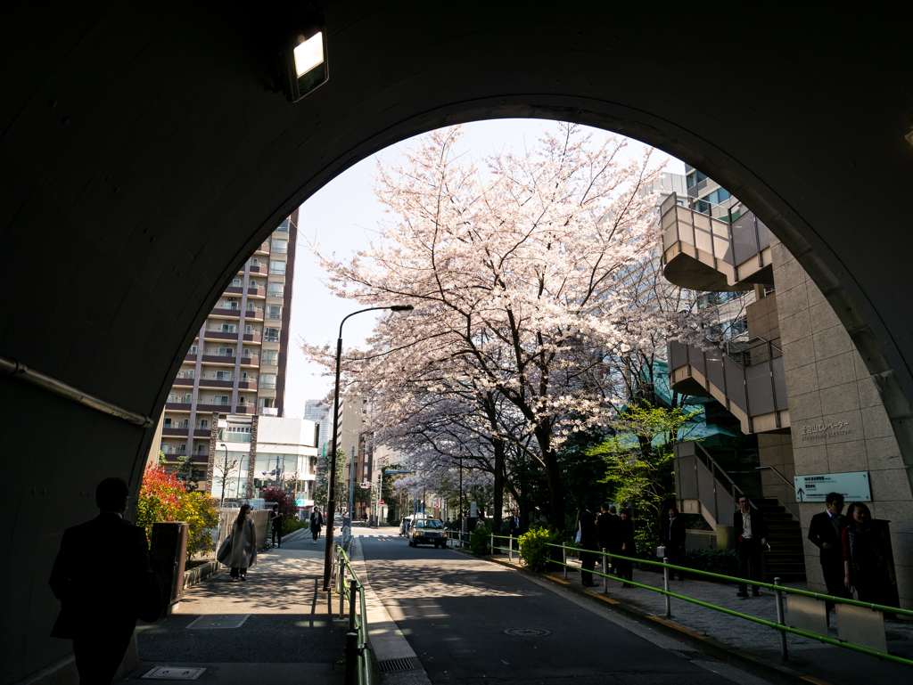 トンネルを抜けると･･･