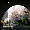トンネルを抜けると･･･