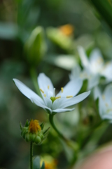 そのままの君でいて