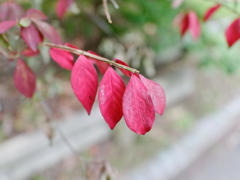 Proviaのやさしさ