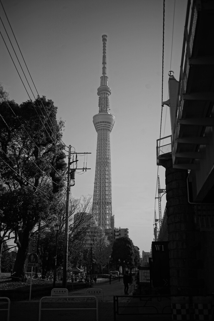 なんかいい感じなんで