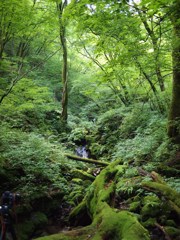 幽玄の残暑