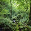 幽玄の残暑
