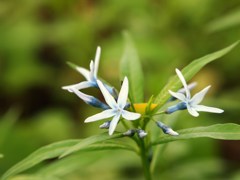明日天気になれ Ⅳ