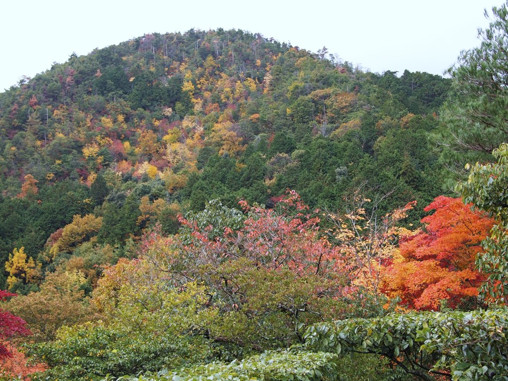 京都補完計画 其ノ佰拾肆