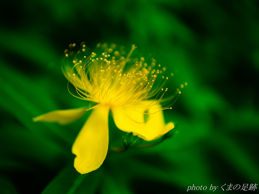 あなたが嫌いになった訳ではありません