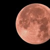 今月今夜のこの月を