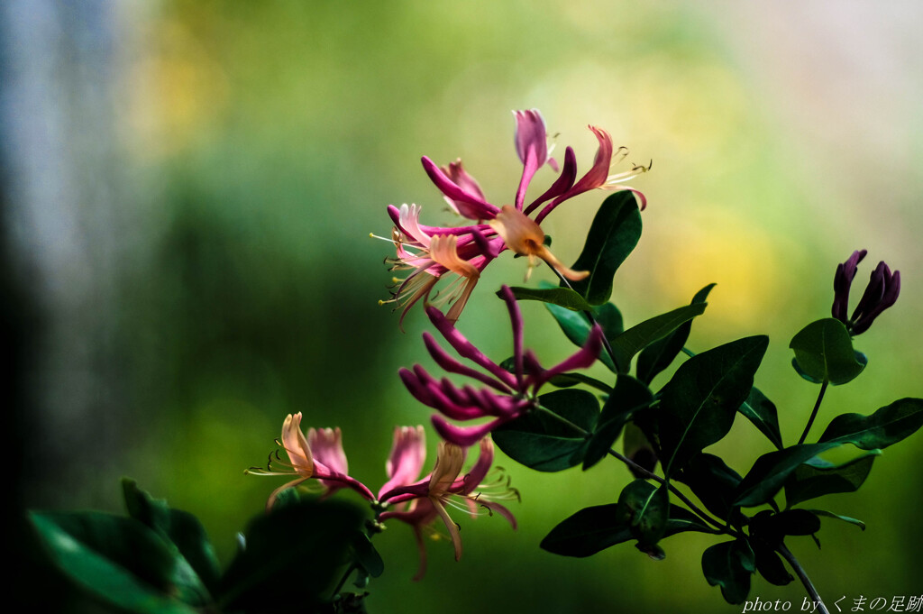 張り詰めた空気