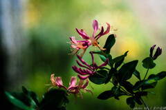 張り詰めた空気