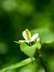 名がすべてではない