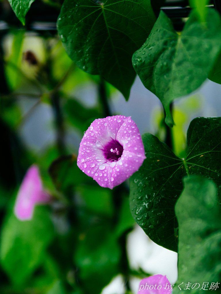 待っているから