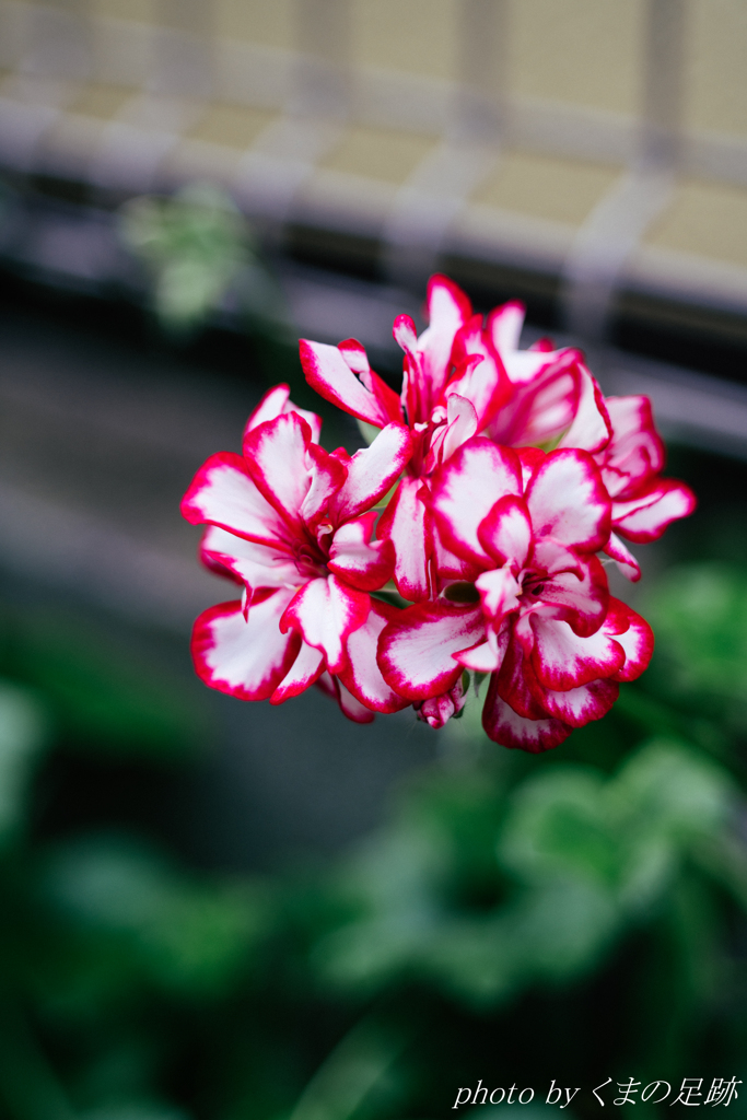 休出からの救出