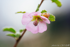 どちらがゆれているのか